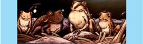 Are you ready to join the Great Frog Choir?